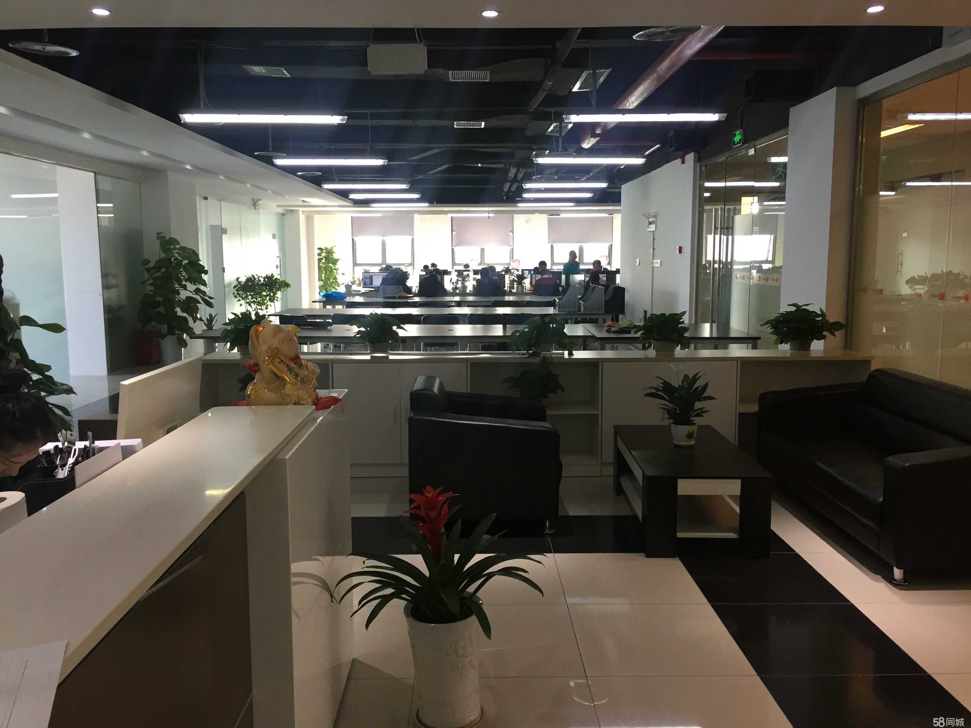 重庆圆圆商务信息咨询